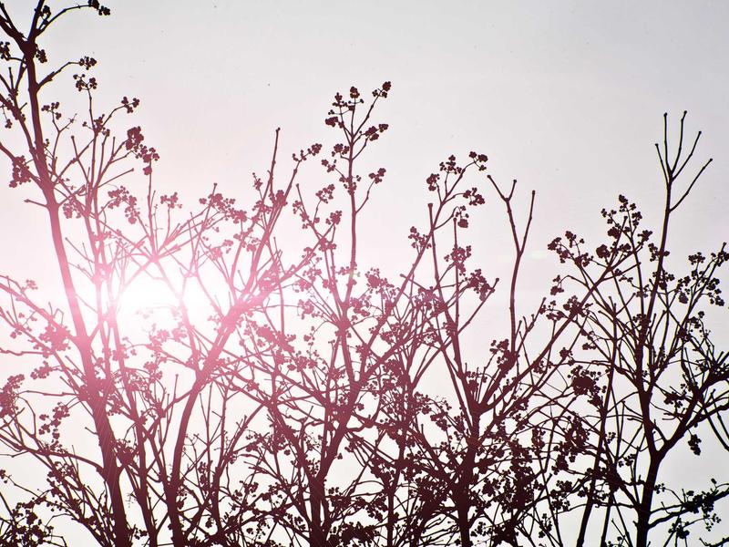 sudoku game online screenshot 1